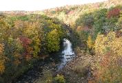 Beautiful fall foliage in the Laurel Mountains of Somerset County, PA.