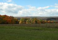 Appalachian Forest Consultants picture of fall foliage 2007. Consulting Foresters available for PA, WV, OH, NY.